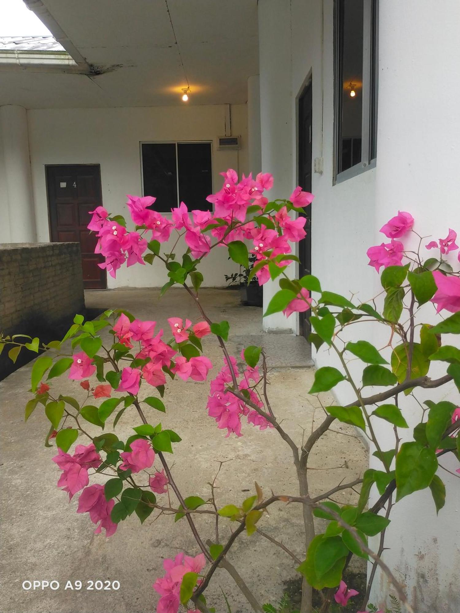 Sukau Tomanggong View Bed & Breakfast Exterior photo