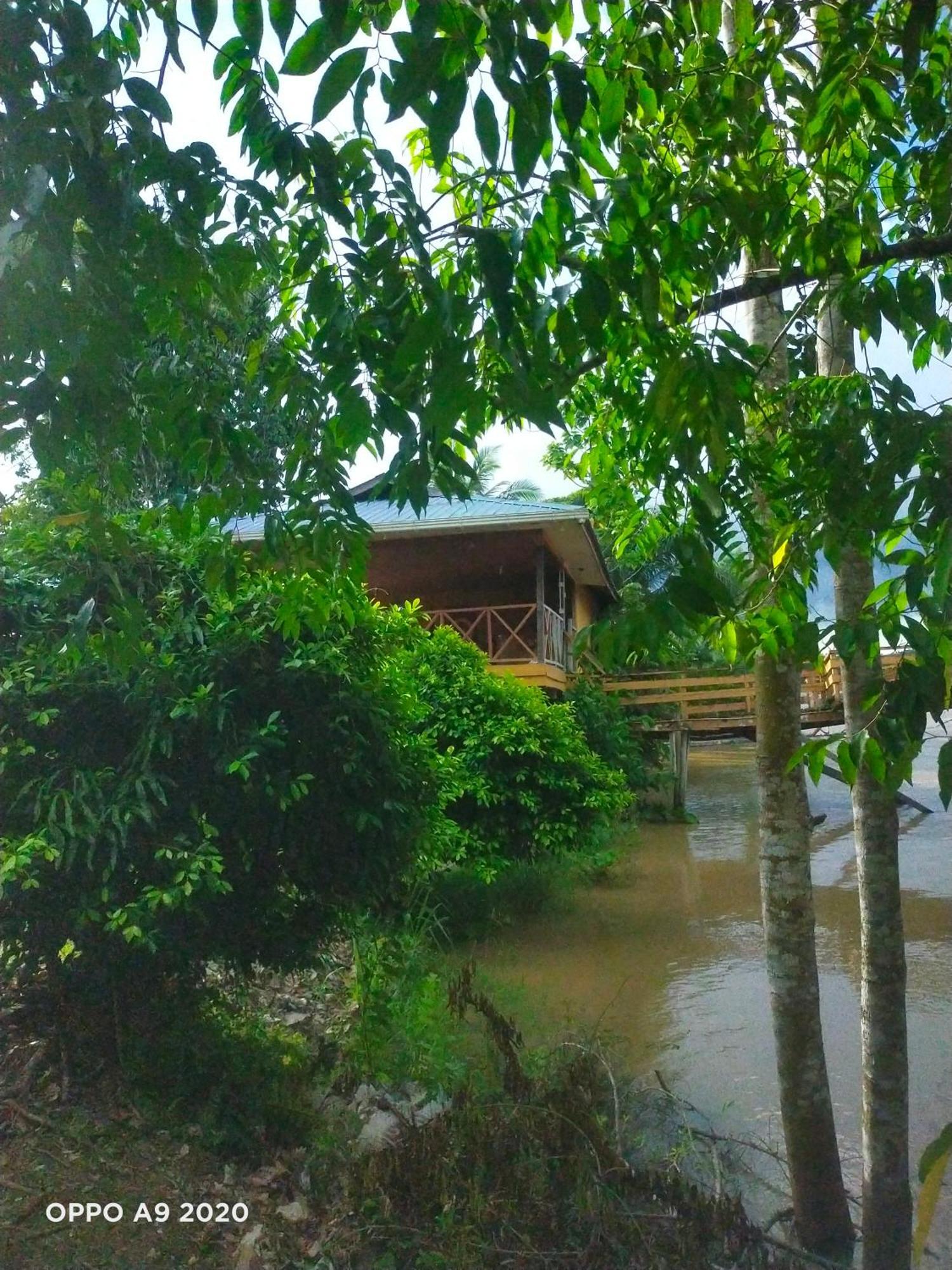 Sukau Tomanggong View Bed & Breakfast Exterior photo